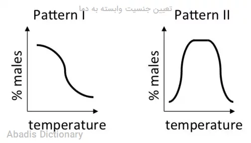 تعیین جنسیت وابسته به دما